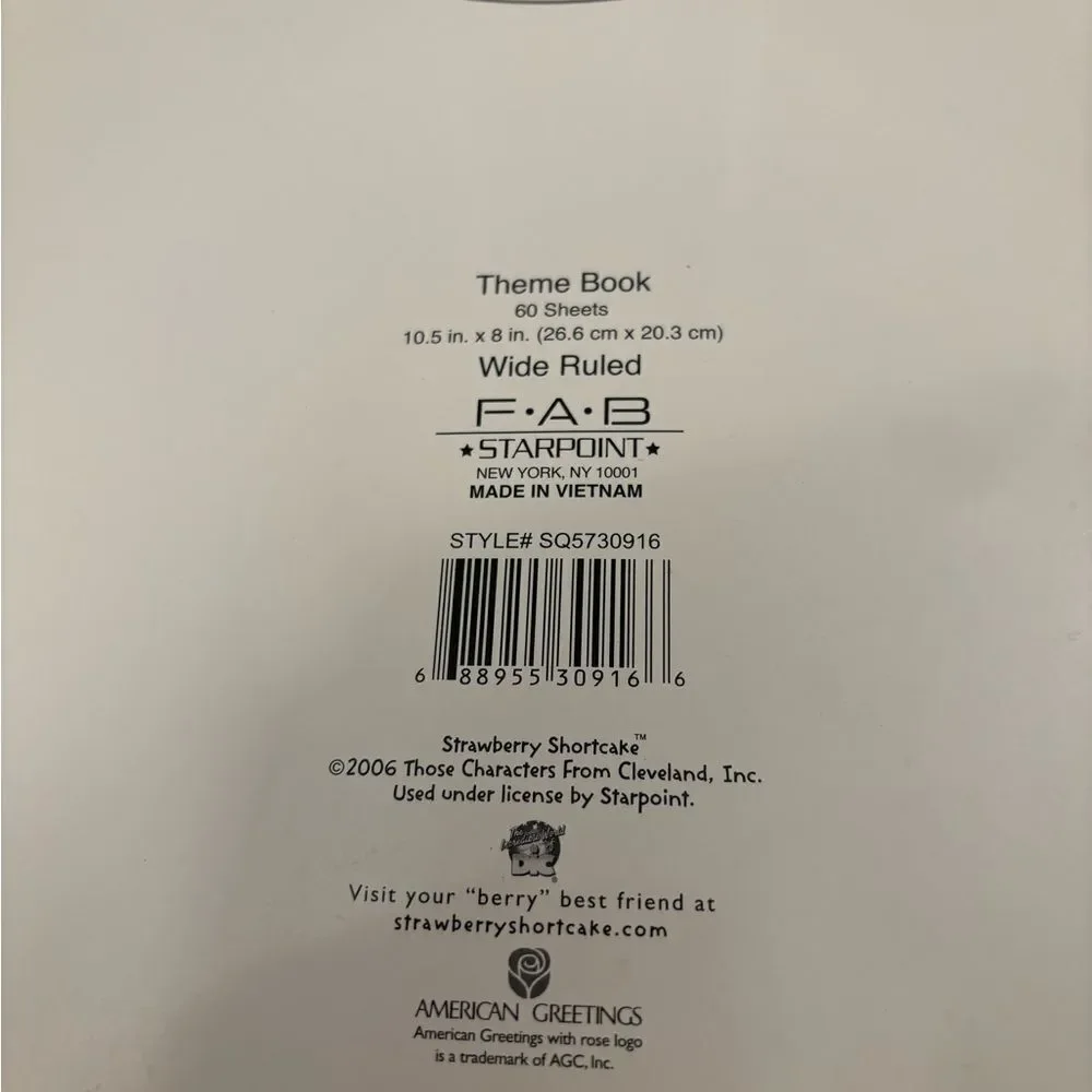 Strawberry Shortcake y2k 2006 lined paper spiral notebook unused